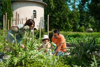 Une famille cultive des artichauts dans un jardin potager au printemps à Bordeaux, avec une tour blanche et des arbres en arrière-plan.