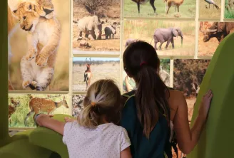 Deux enfants observent un panneau d'exposition photographique montrant des animaux sauvages d'Afrique incluant des lions, des éléphants, des rhinocéros et des antilopes.