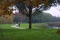 Parc du Bois de Bordeaux avec une allée sinueuse traversant une pelouse verte, un grand arbre au premier plan, des arbres en arrière-plan aux teintes automnales, et un petit cours d'eau visible à droite.