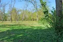 Clairière du Bois d'Arboudeau à Bordeaux avec arbres espacés, herbe verte, fleurs sauvages mauves en premier plan et une structure en bois au loin sous un ciel bleu.