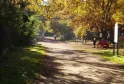 Allée ombragée du Bois du Burck à Bordeaux avec des arbres aux feuillages dorés, un sentier pavé et des promeneurs