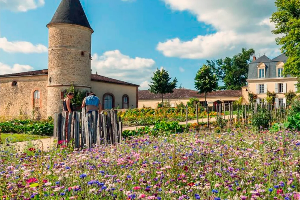 Châteaux labélisés Vignobles & Découvertes