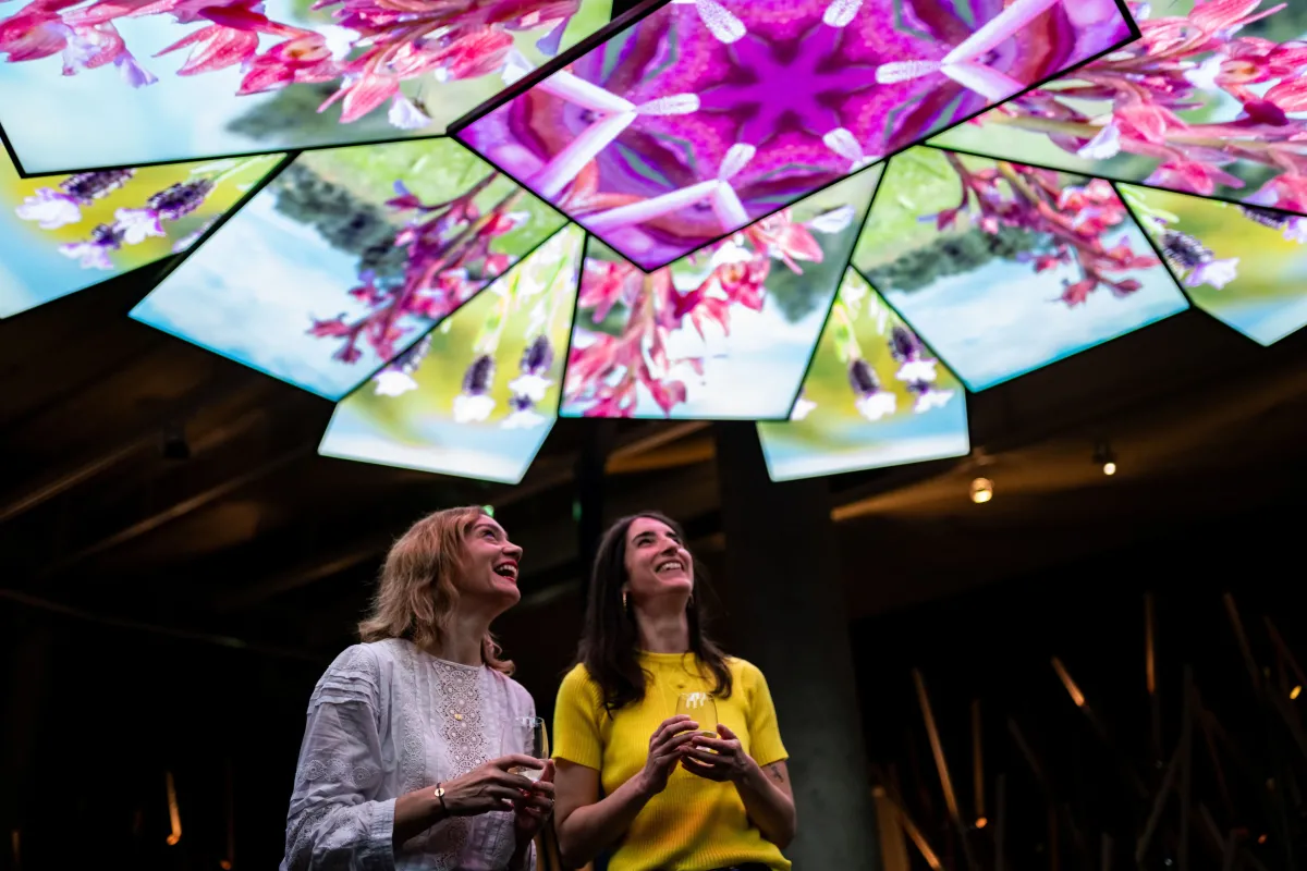 Via sensoria, l'expérience immersive de La Cité du Vin